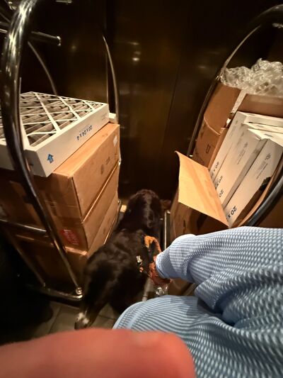 With some of The Bowie's elevators broken and others prioritized for vendors, spaces get crowded and inconvenient