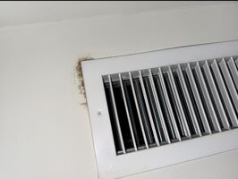 Black mold growth in AC vent and sheetrock at The Bowie in Austin.