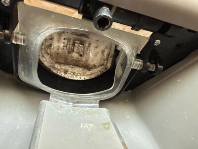 Black mold growth in fridge ice maker at The Bowie in Austin.