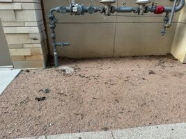 Accumulated pet feces at The Bowie in Austin flows into the nearby creek and watershed.