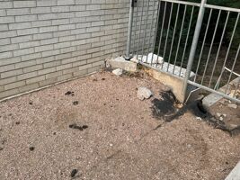 Accumulated pet feces at The Bowie in Austin flows into the nearby creek and watershed.