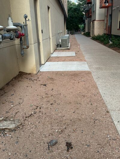 Pet waste outside The Bowie in Austin creates unpleasant sights and smells for residents and the neighboring community.
