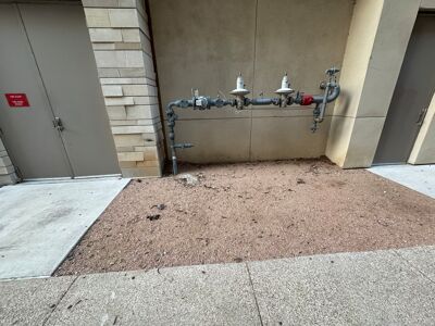 Uncollected pet feces collects on the grounds outside of The Bowie in Austin.