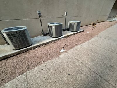 Uncollected pet feces collects on the grounds outside of The Bowie in Austin.