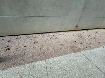 Uncollected pet feces collects on the grounds outside of The Bowie in Austin.