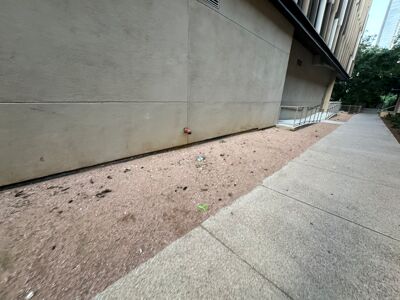 Pet waste collects outside The Bowie, contaminating nearby Shoal Creek and other Austin waterways.